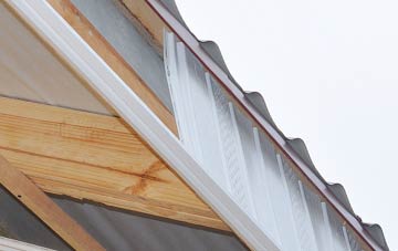 why Charmouth fascia repairs are essential