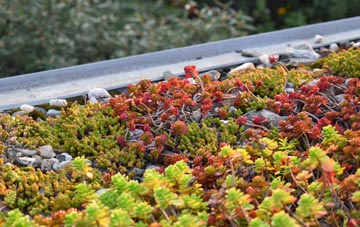 the cost of Charmouth green roof installation