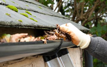 gutter cleaning Charmouth, Dorset