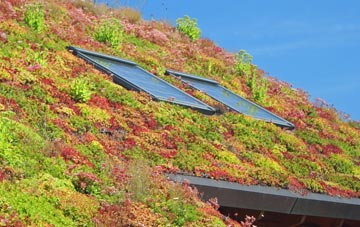 Charmouth living roof systems