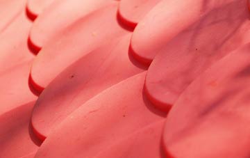 Charmouth plastic roof costs