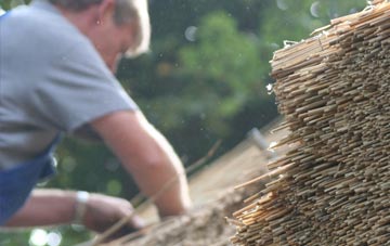 professional Charmouth thatchers