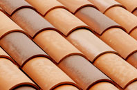 Charmouth clay roofing