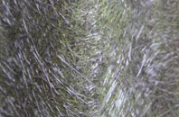 Charmouth fibreglass roof work